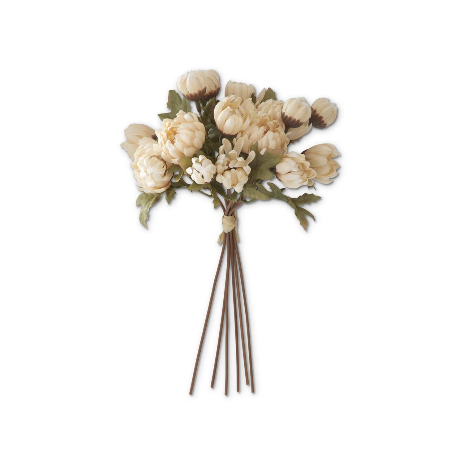 10 Inch Cream Dahlia Bundle (6 Stems)