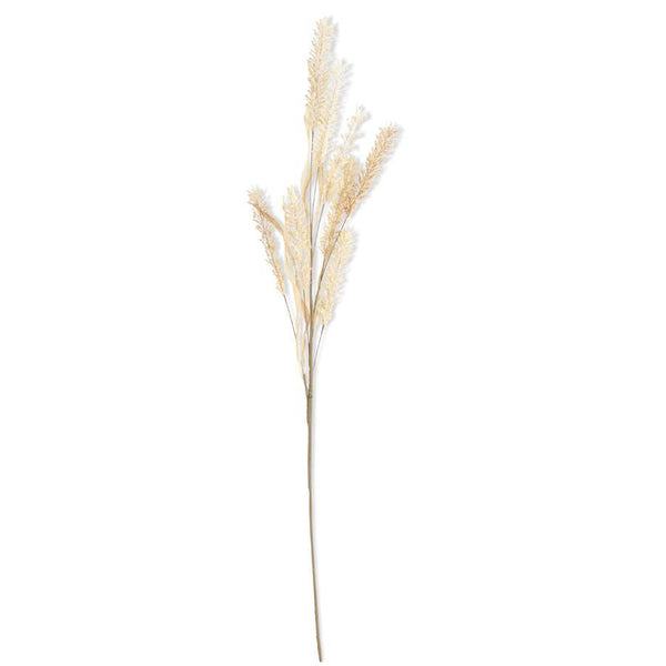 Natural Pampas Grass Spray