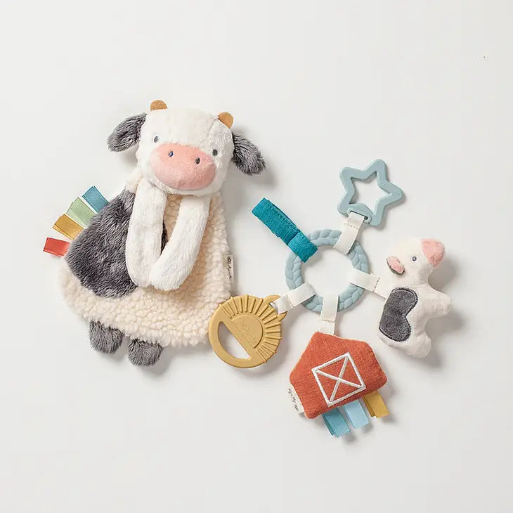 Itzy Ritzy Bitzy Bust Gift Set