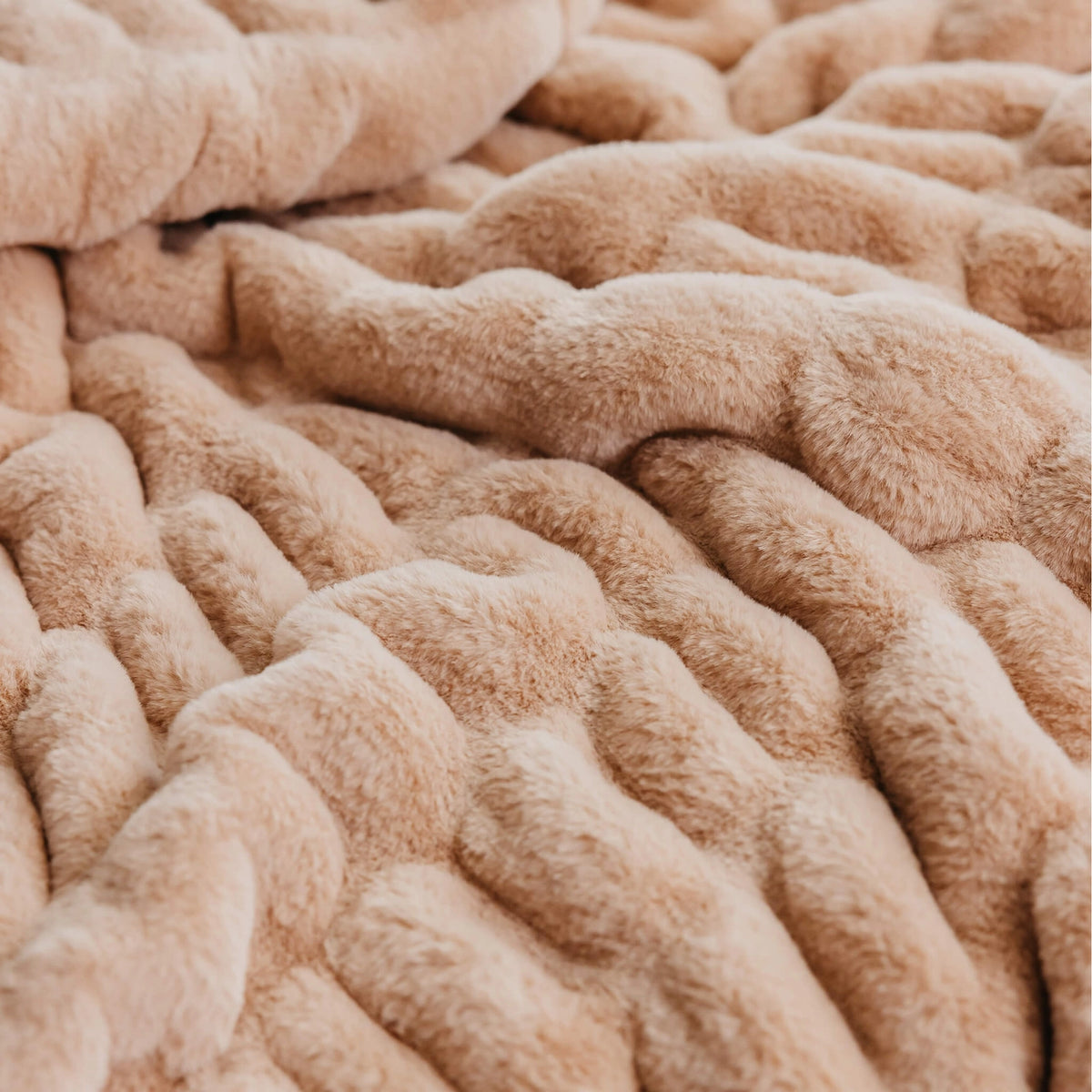 Cloud Plush Blanket