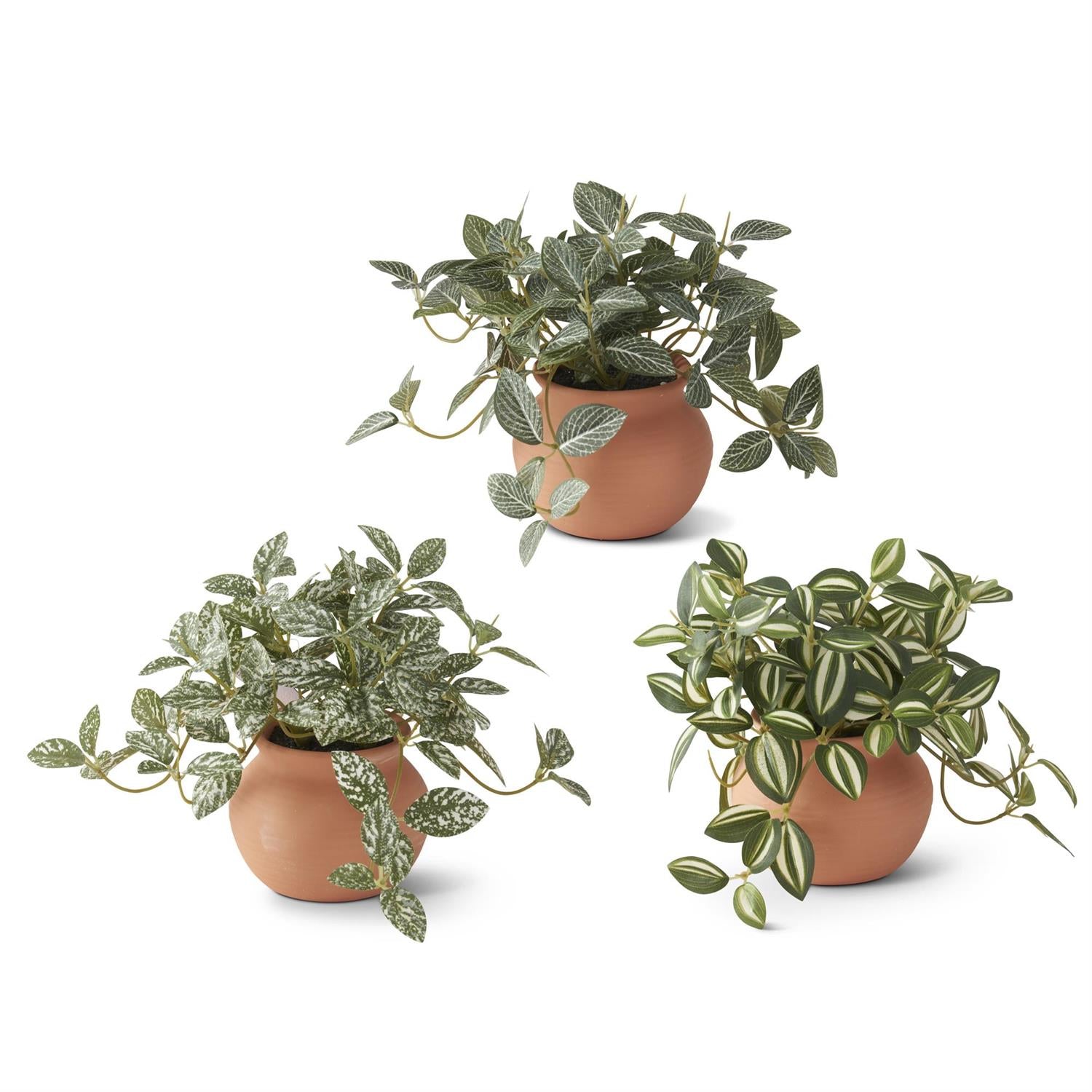 Assorted 6.5 Inch Ceramic Potted Plants