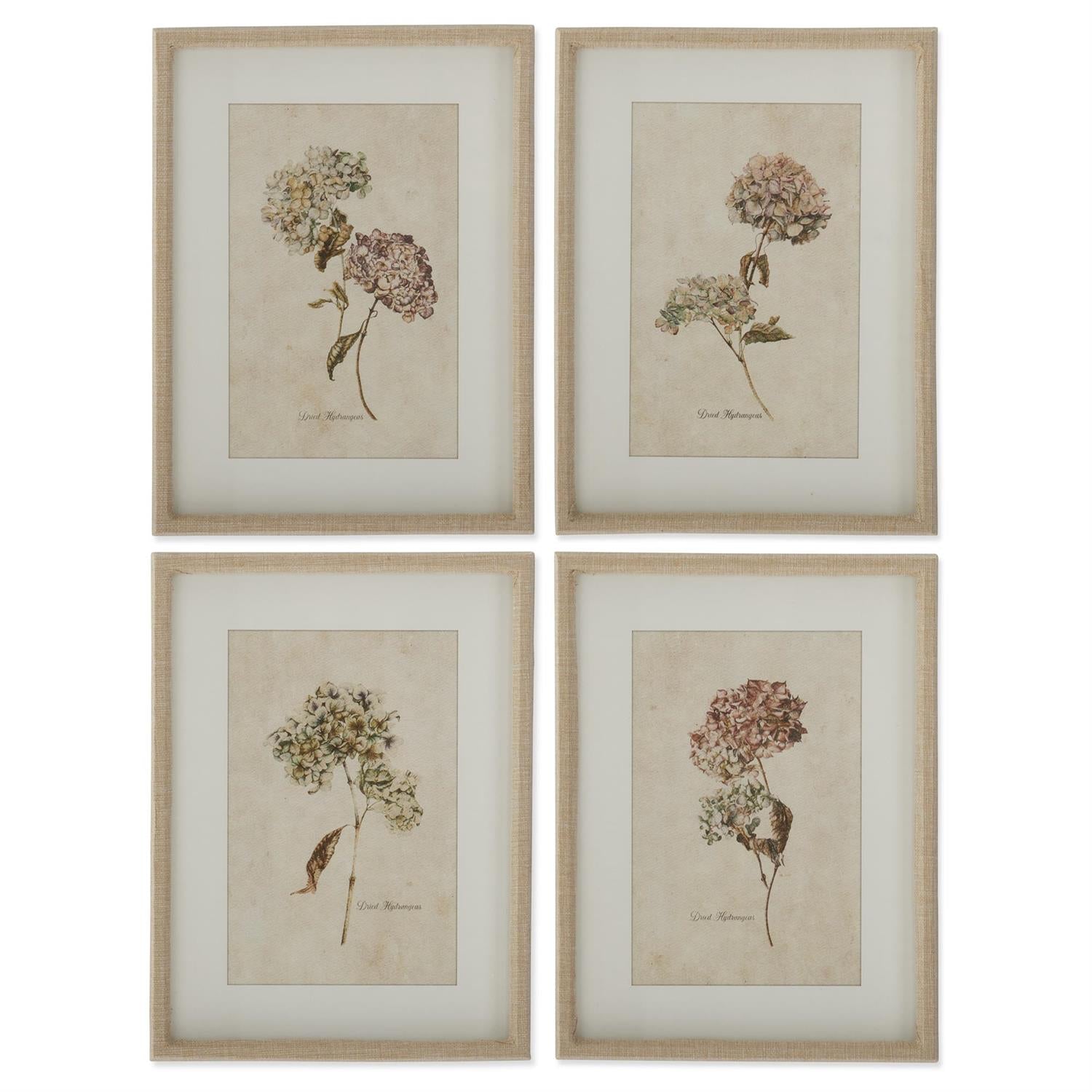 Assorted 15.75" Burlap Wrapped Wood Framed Dried Hydrangea Prints