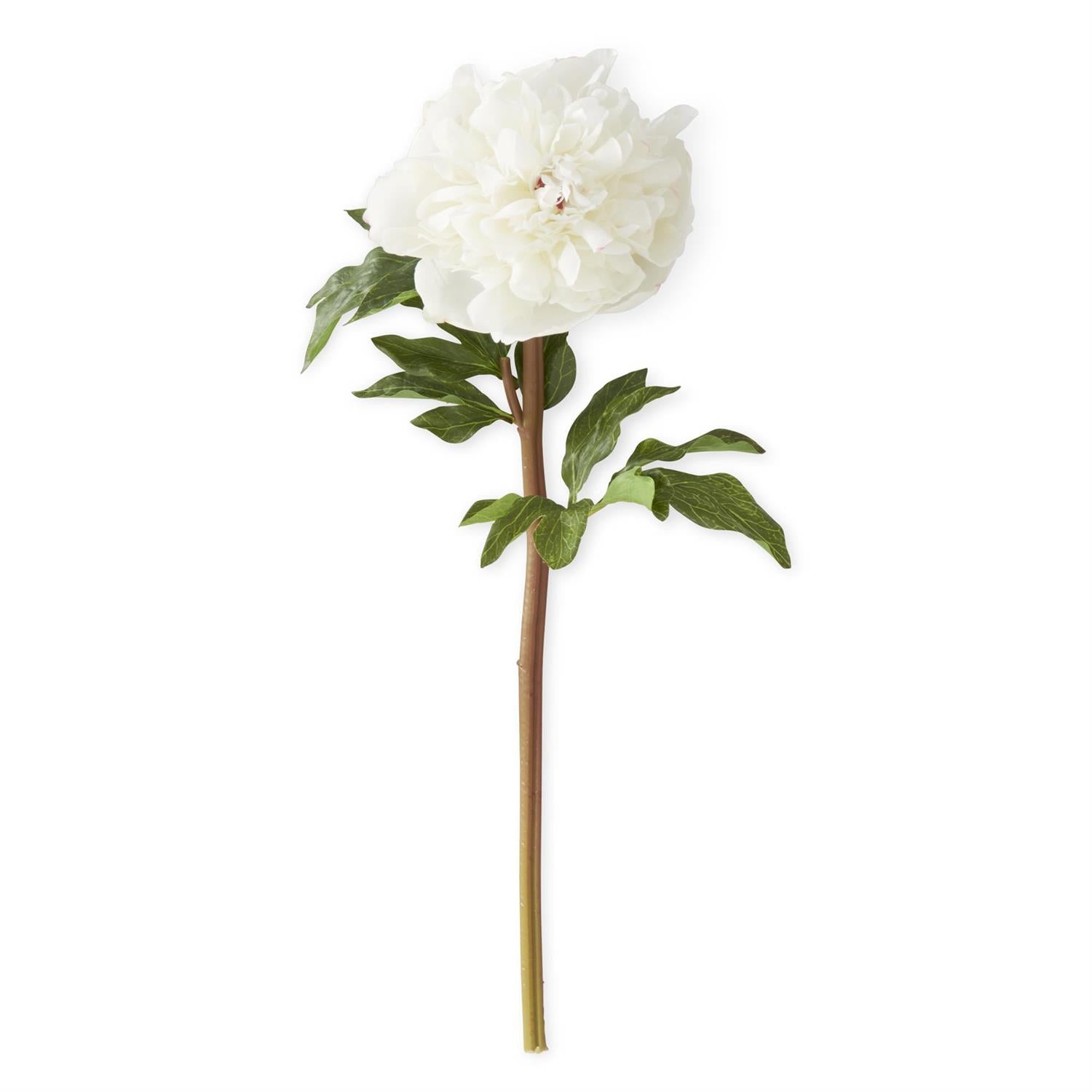 21.5 Inch White Charm Real Touch Peony Stem