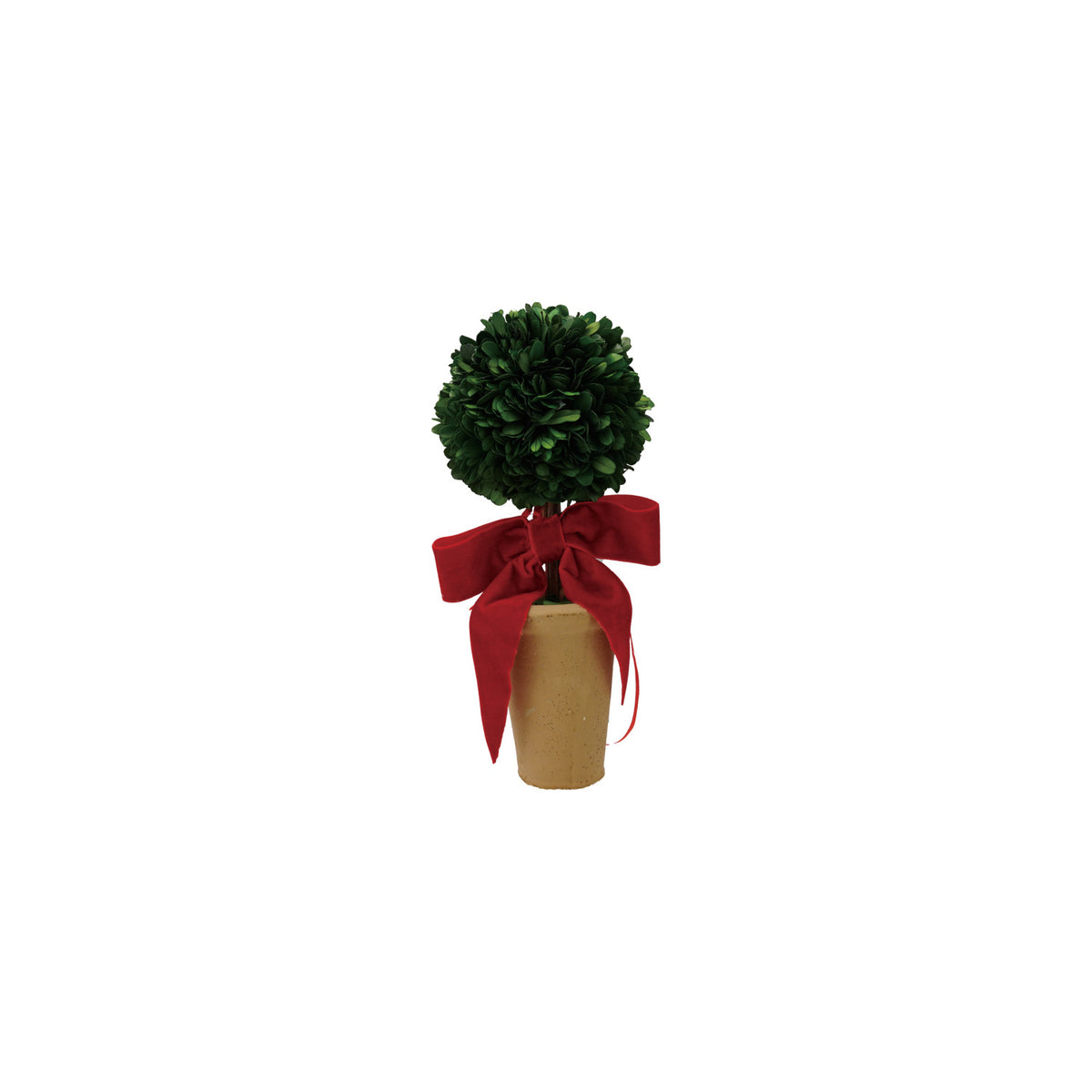 Boxwood Tree w/ Velvet Bow
