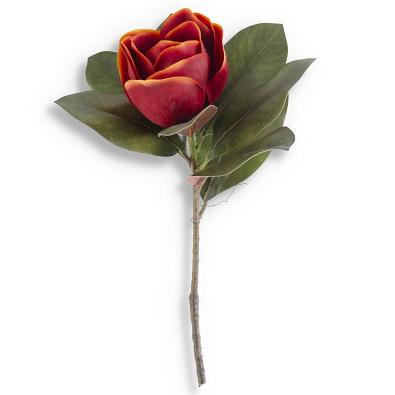17 Inch Orange Magnolia Stem