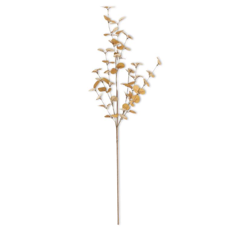 34 Inch 2 Tone Dark Yellow Eucalyptus Stem