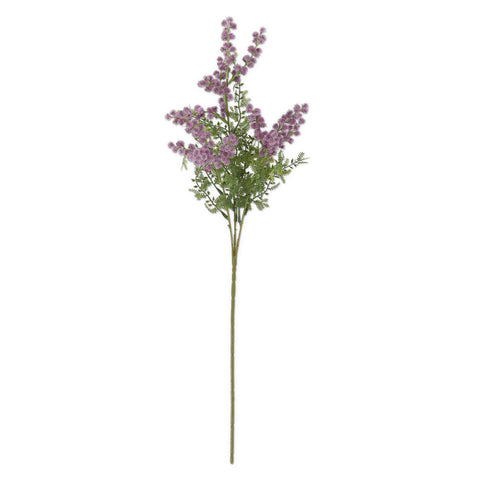 Floral/Botanical/Dried