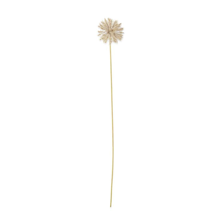 30 Inch Dandelion Stem