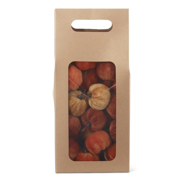 11 Inch Craft Bag of Mini Pumpkins