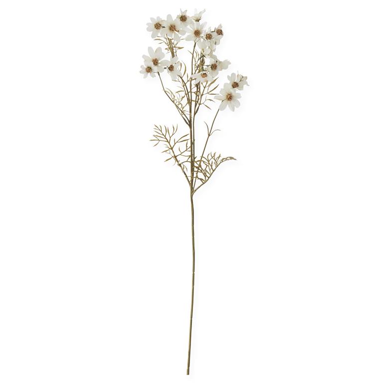 30 Inch White Cosmo Stem