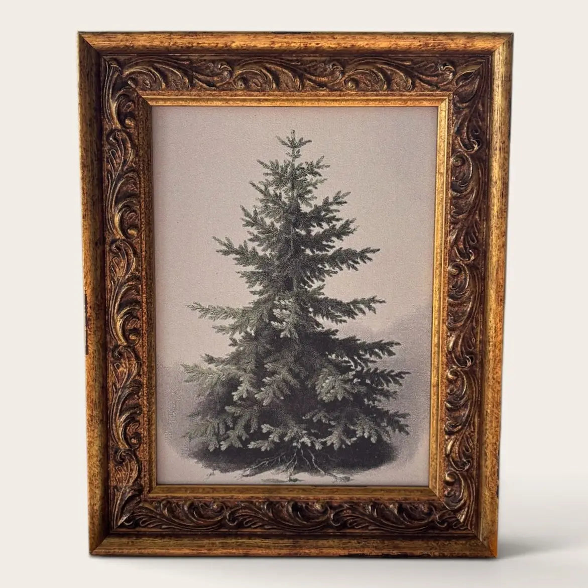 Evergreen Wall Art w/ Antique Gold Frame
