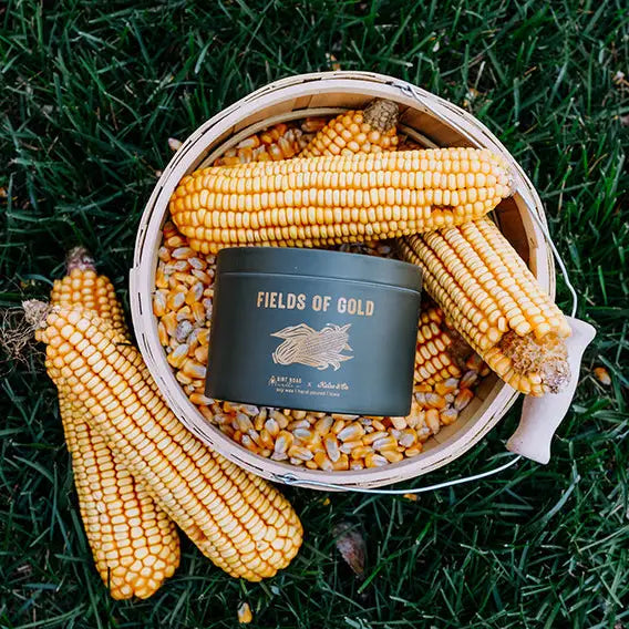 Fields of Gold