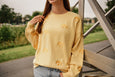 Iowa Ritter Repeat Crew- Pale Yellow