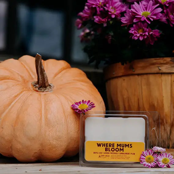 Where Mums Bloom Wax Melt
