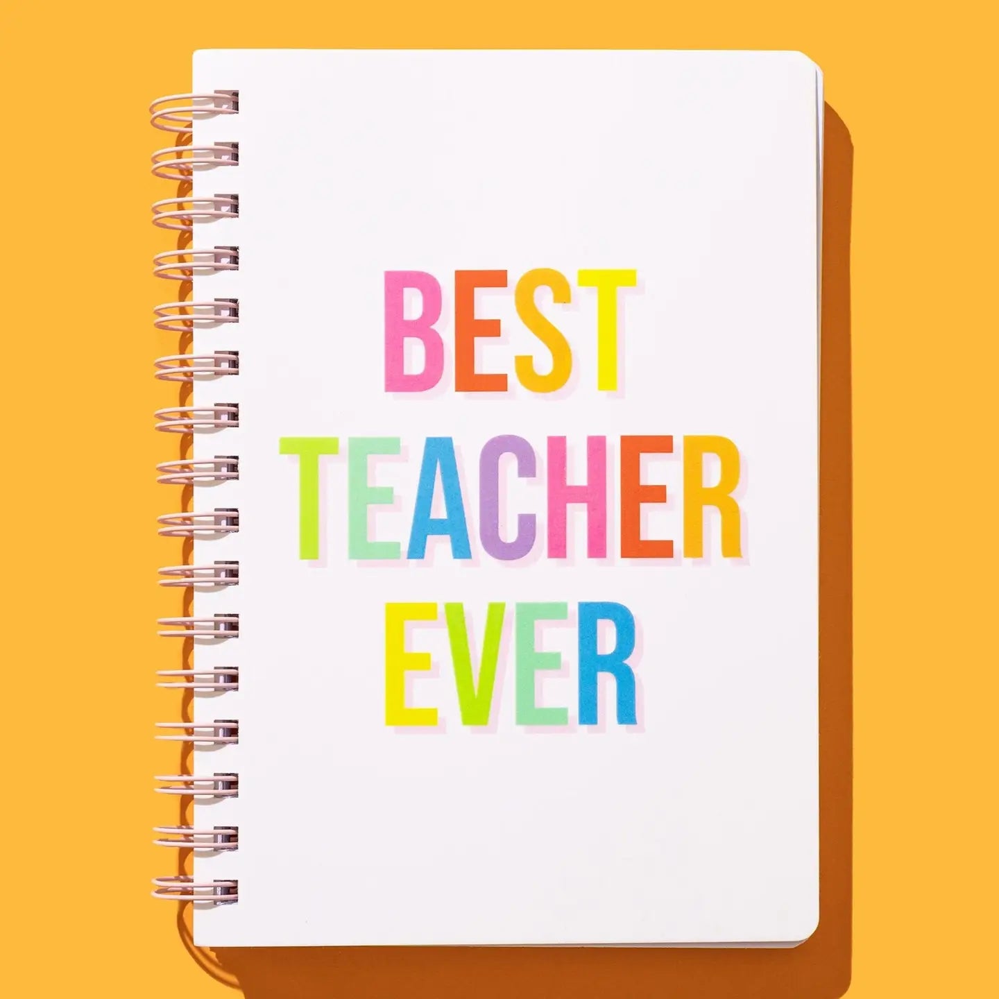 Best Teacher Ever Notebook