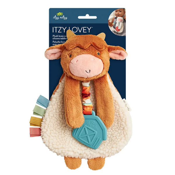 Lovey Highland Cow