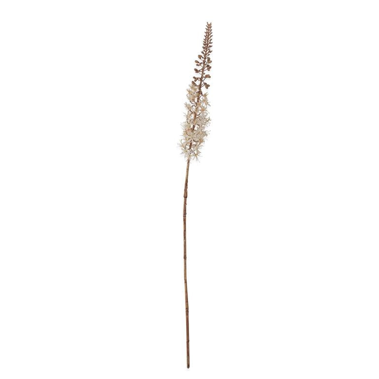 42.5 Inch Cream Fox Tail Lily Stem