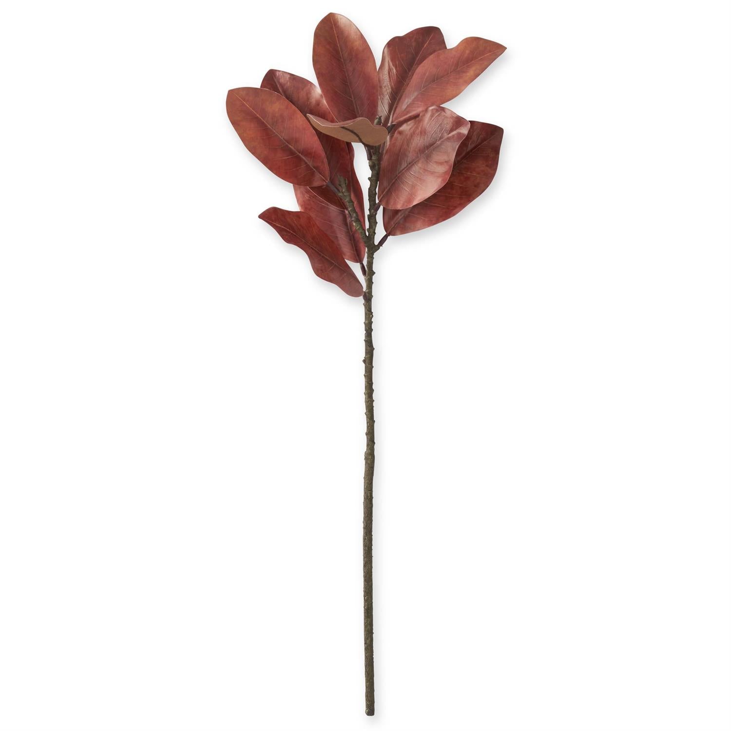 32 Inch Orange Magnolia Branch