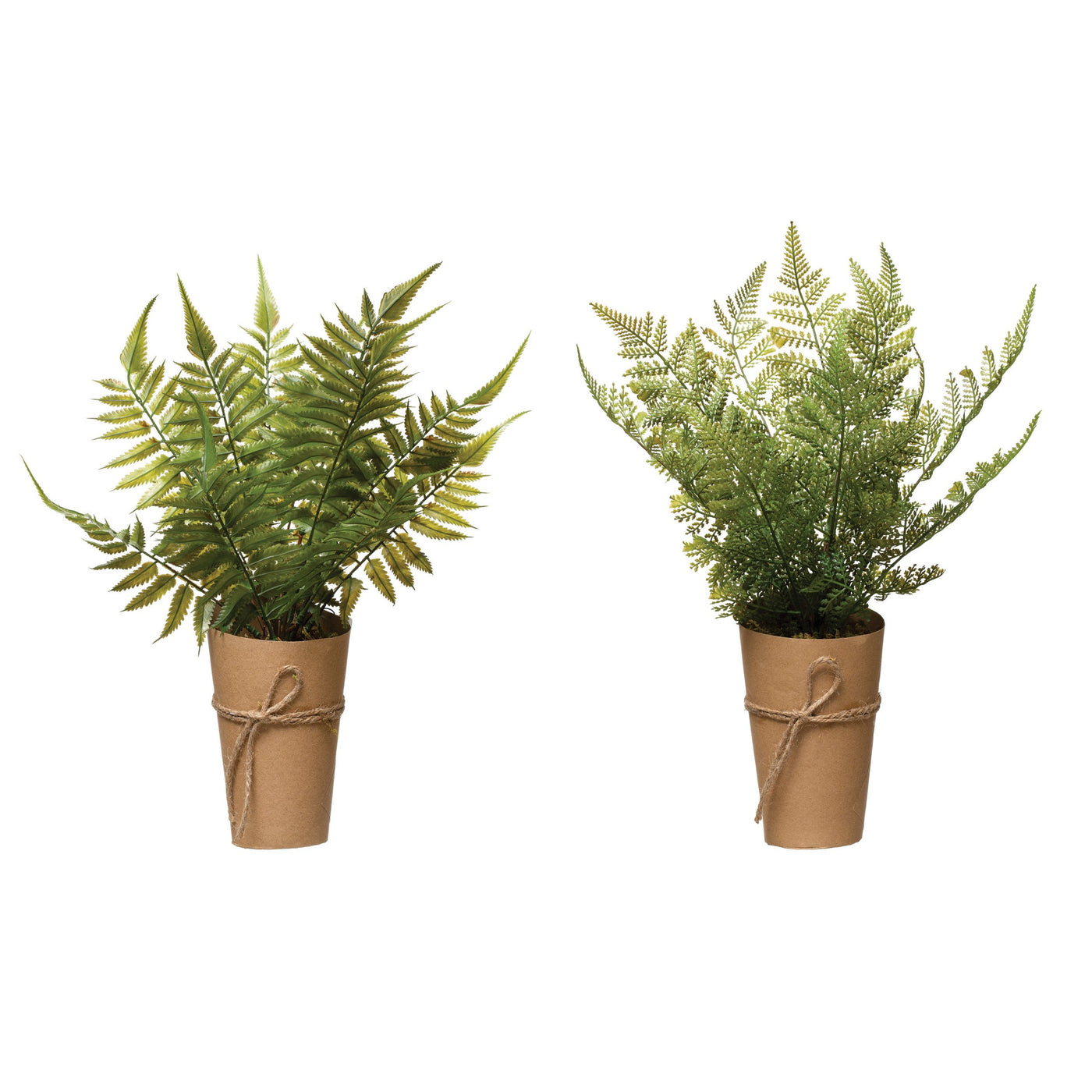 Faux Fern in paper wrap