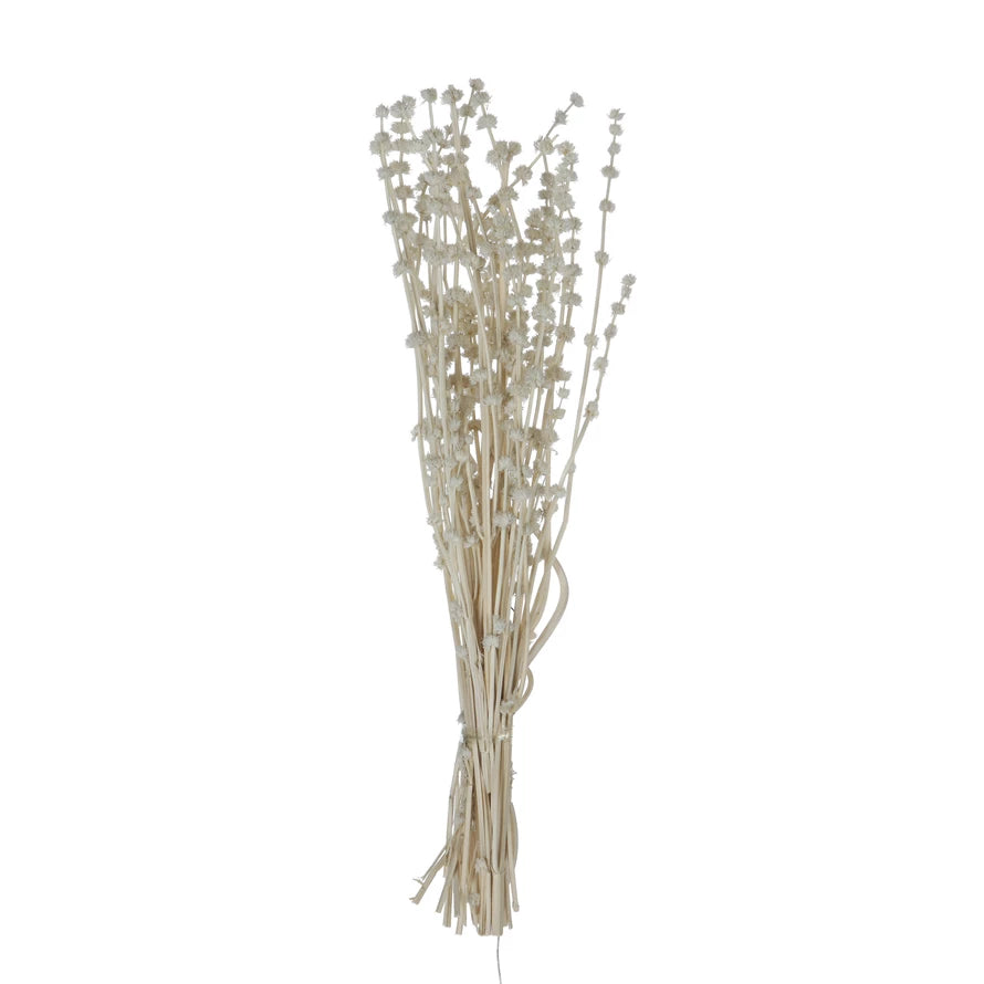 Dried Natural Lion's Tail Bunch-White